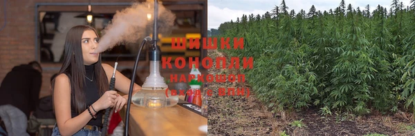 прущая мука Магас