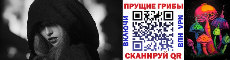 Галлюциногенные грибы Cubensis  где можно купить   Троицк 