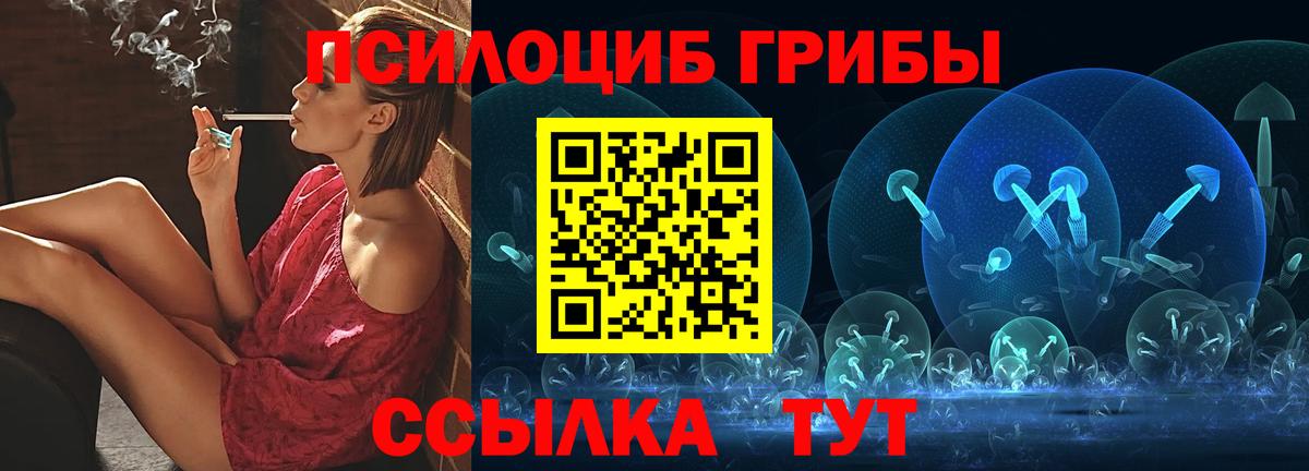 Троицк  Псилоцибиновые грибы Psilocybine cubensis  Вход с VPN 